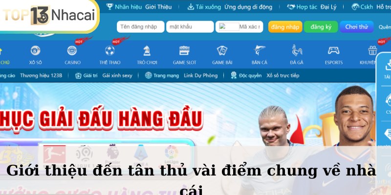 Giới thiệu đến tân thủ vài điểm chung về nhà cái