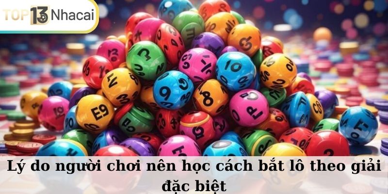 Lý do người chơi nên học cách bắt lô theo giải đặc biệt