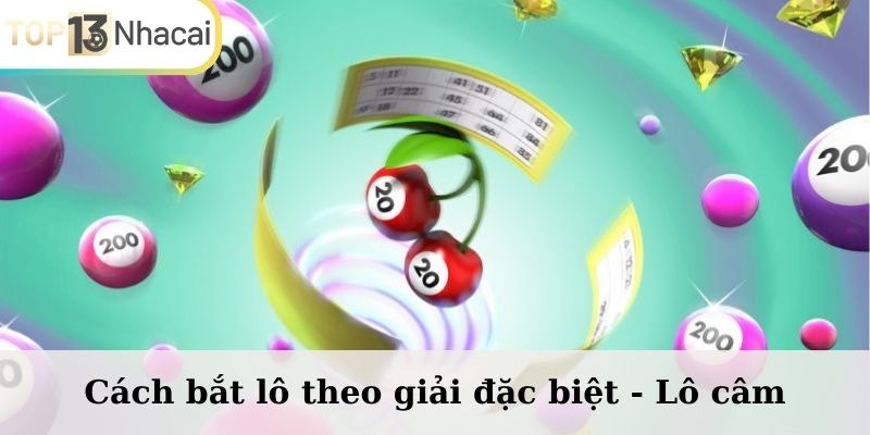 Cách bắt lô theo giải đặc biệt - Lô câm