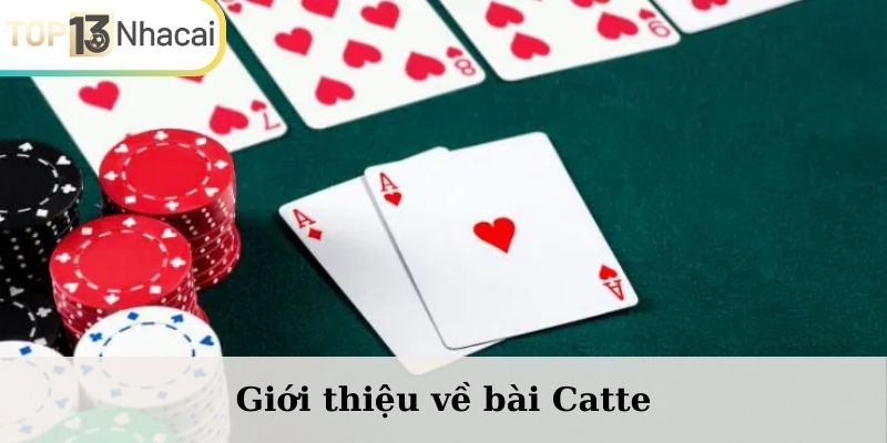 Giới thiệu về bài Catte