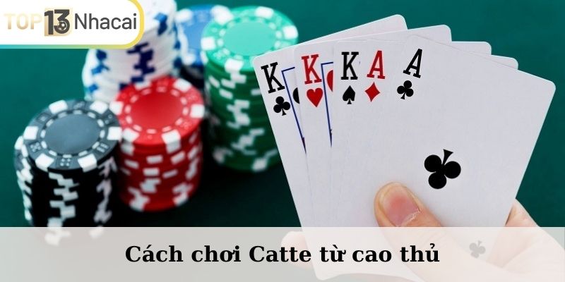 Cách chơi Catte từ cao thủ