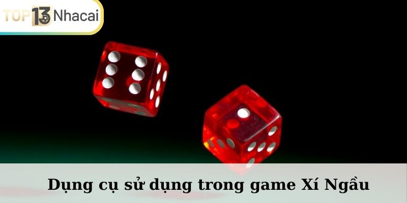 Dụng cụ sử dụng trong game Xí Ngầu