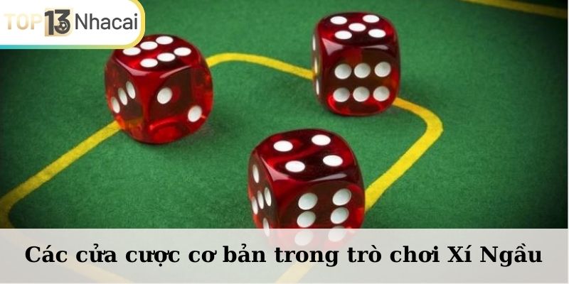 Các cửa cược cơ bản trong trò chơi Xí Ngầu