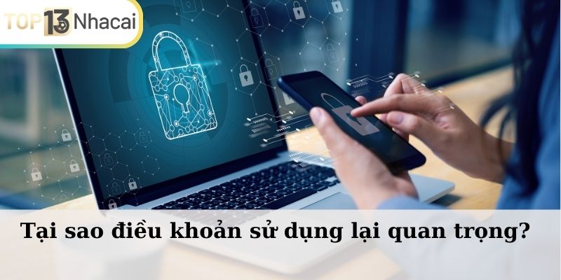 Nguyên nhân tại sao điều khoản sử dụng lại rất quan trọng?