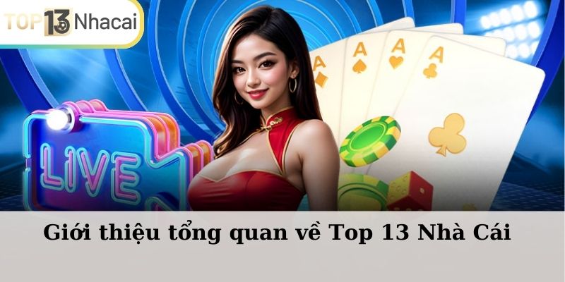 Giới thiệu tổng quan về Top13nhacai.com