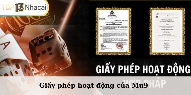 Giấy phép hoạt động của Mu9