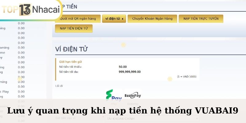 Lưu ý quan trọng khi nạp tiền hệ thống VUABAI9