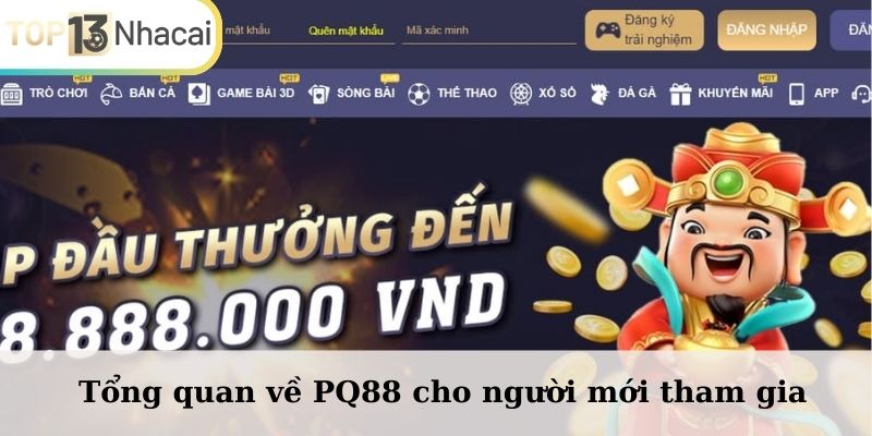 Tổng quan về PQ88 cho người mới tham gia