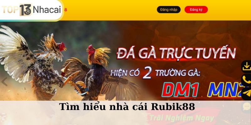 Tìm hiểu nhà cái Rubik88