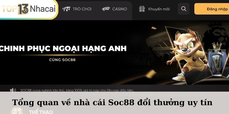 Tổng quan về nhà cái Soc88 chất lượng và uy tín