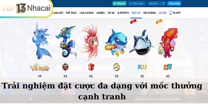 Trải nghiệm đặt cược đa dạng với mốc thưởng cạnh tranh