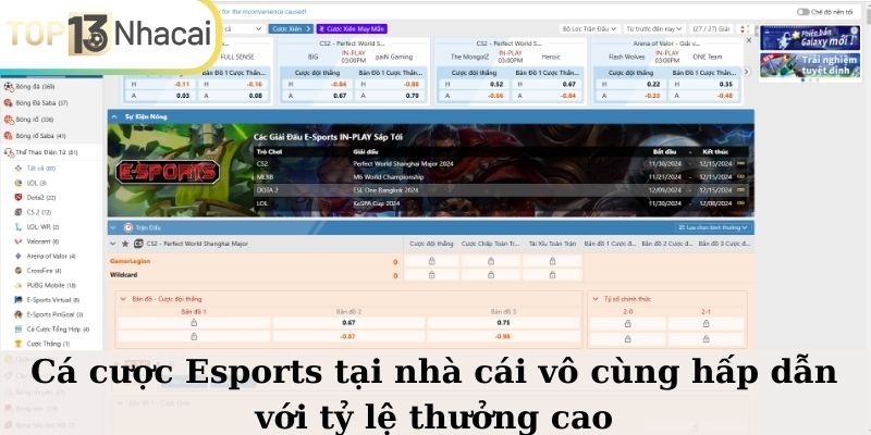 Cá cược Esports tại nhà cái vô cùng hấp dẫn với tỷ lệ thưởng cao